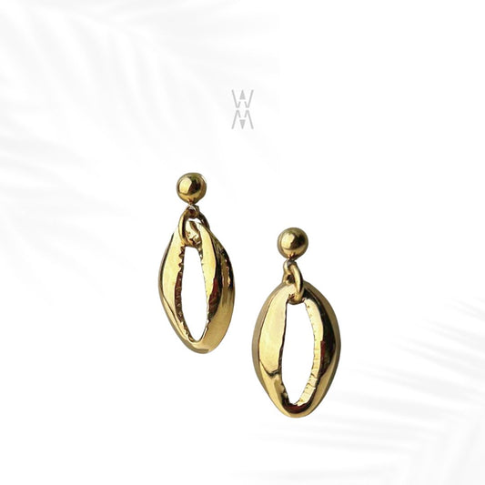 Adam | Gold cowrie earrings in stainless steel